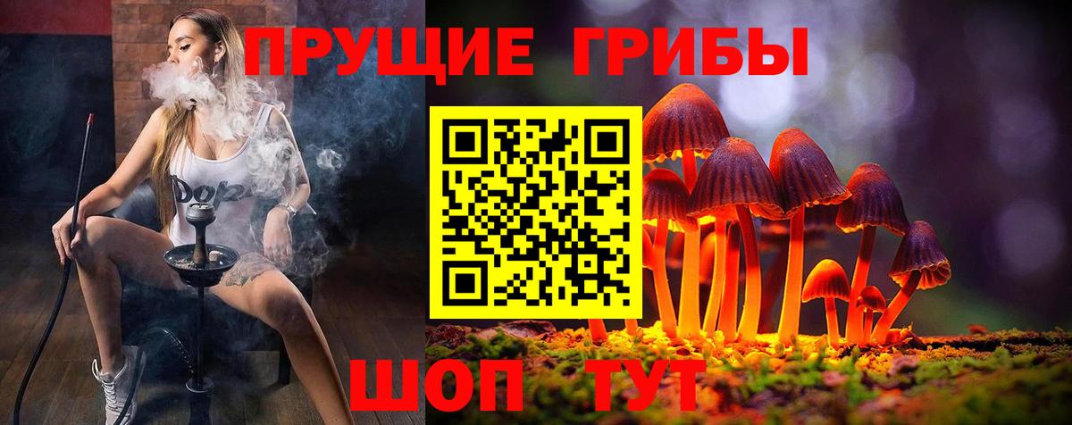 Партизанск  Псилоцибиновые грибы MAGIC MUSHROOMS  Вход с VPN  Псилоцибиновые грибы Magic Shrooms 